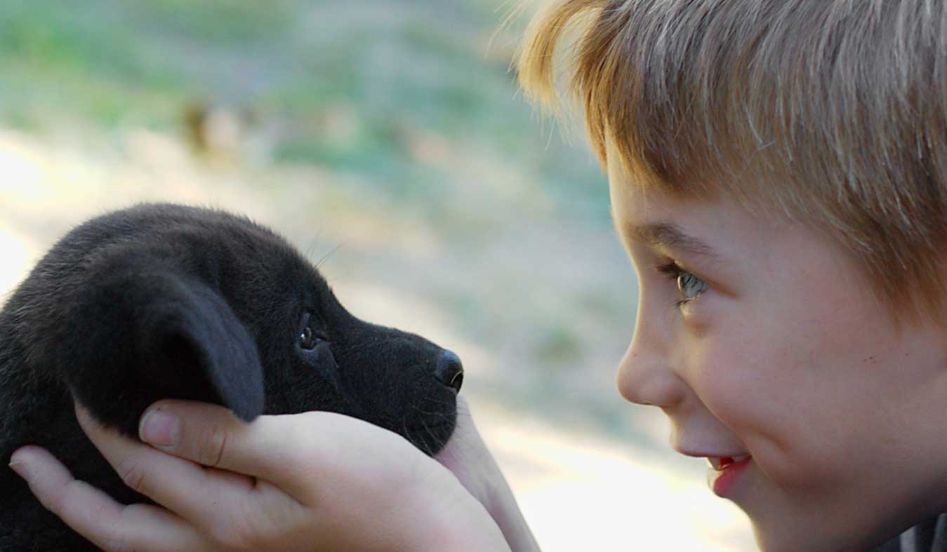 Boy and a puppy