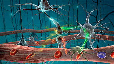 art of neurons in brain
