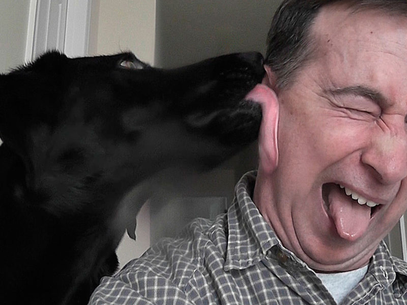 Buddy the Dog licks the face of Stephen M. Miller