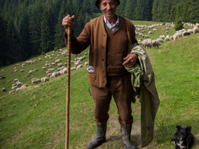 Shepherd in Romania