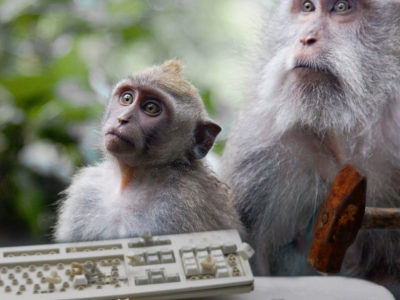 monkeys at keyboard
