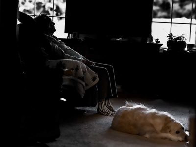 photo of elderly woman in chair with dog lying nearby