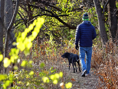 man walking dog in the woods by Stephen M. Miller