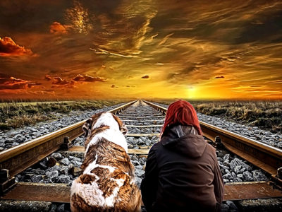 Picture of dog and woman sitting on railroad tracks looking at sunset